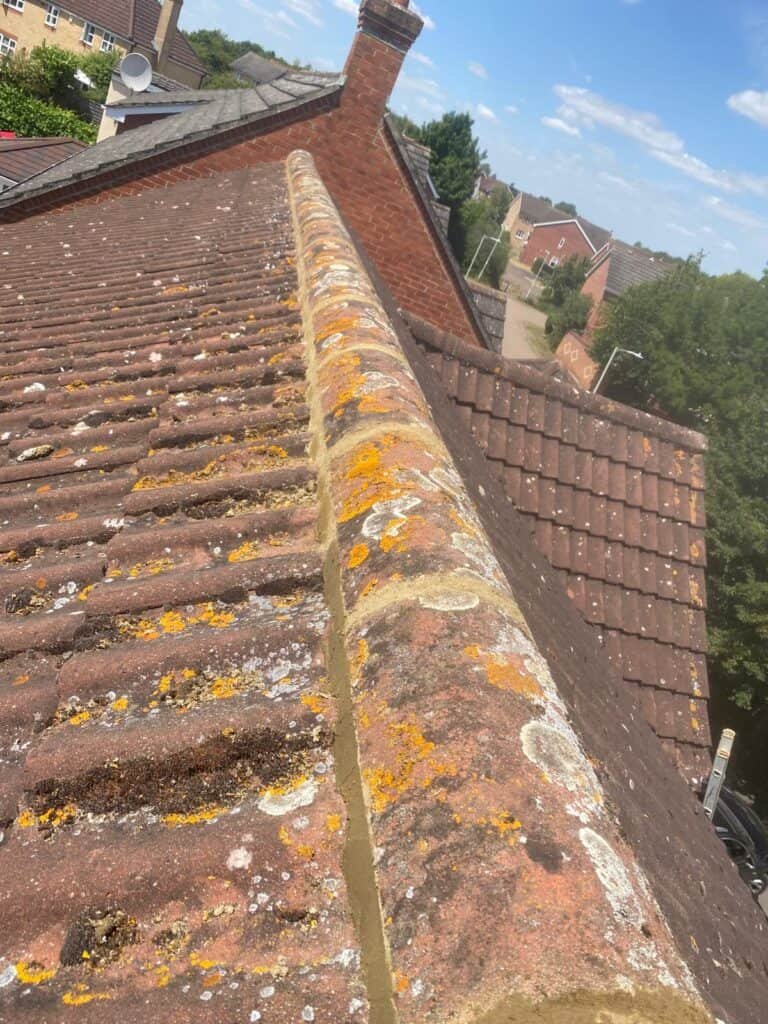 Eagle Building & Roofing